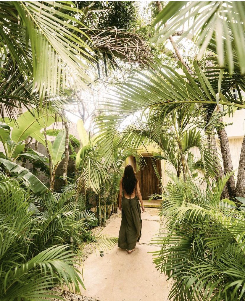 How to Do a 24-Hour Reset in Tulum