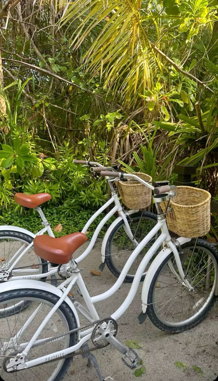 Explore Cobá by Bike, an Archaeological Adventure Near Tulum